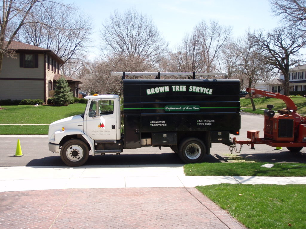 Tree Removal Chicago IL