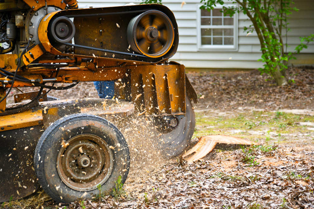 Stump removal company in Glenview Illinois