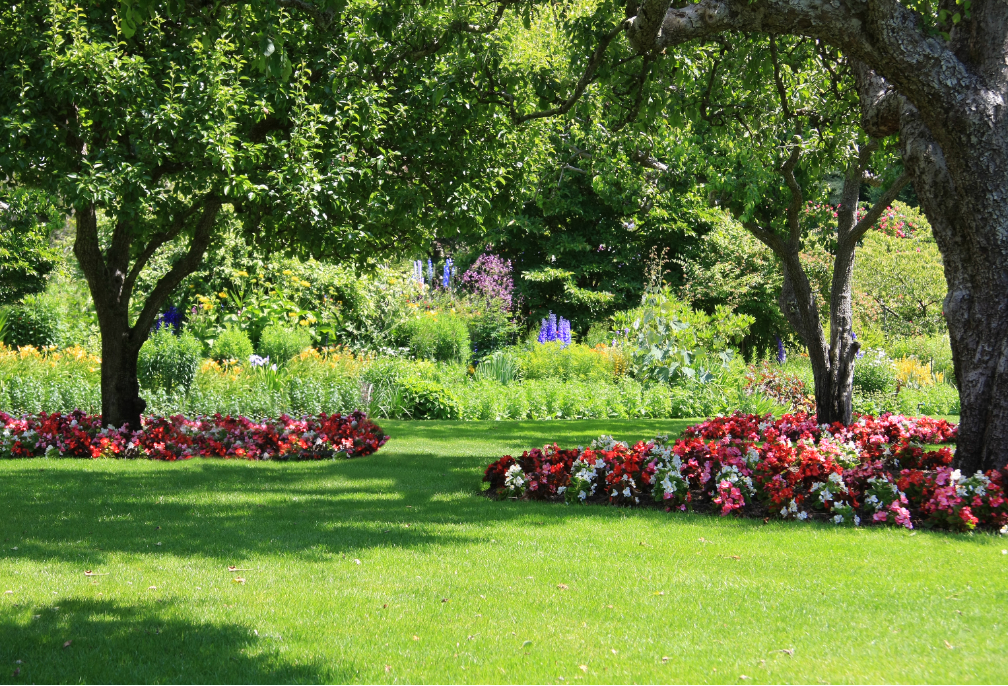 Tree care company in Highland Park Illinois