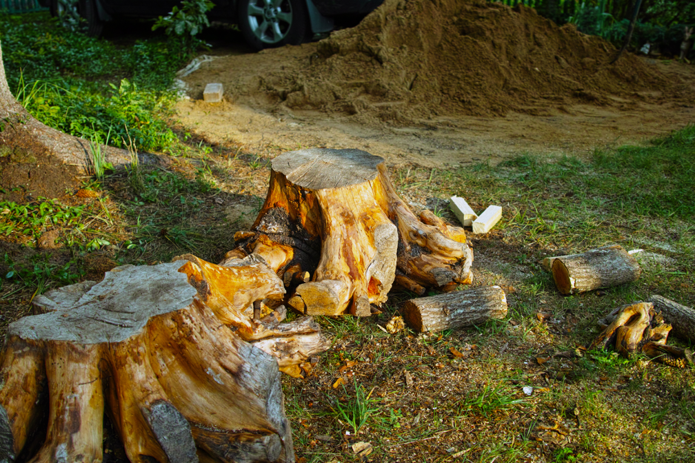 Stump removal contractor in Lake Forest Illinois