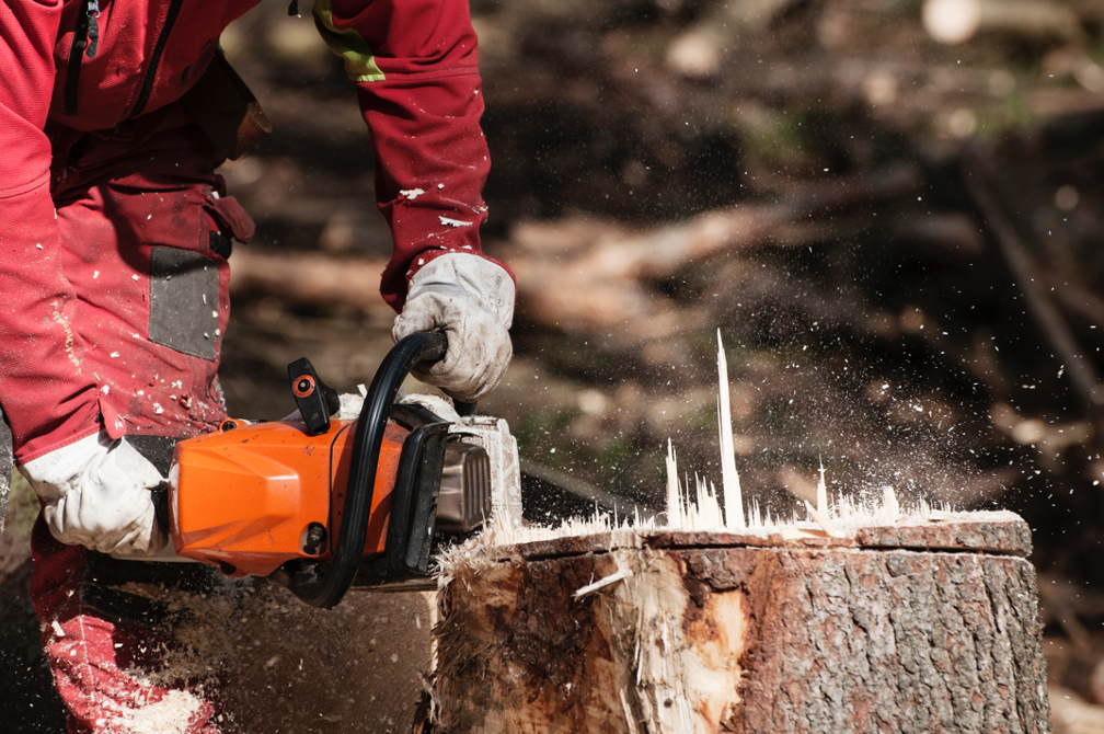 Tree removal contractor in Inverness Illinois