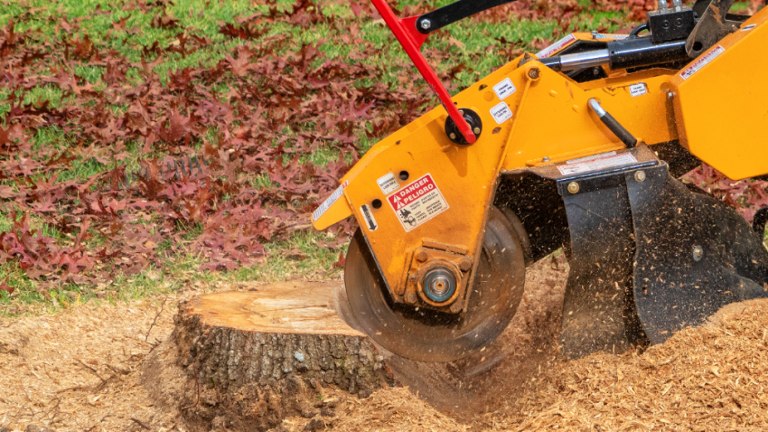 Stump removal company in Lake Zurich Illinois