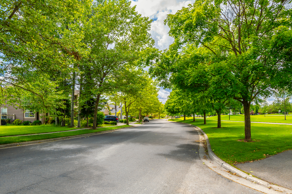 Tree care company in Park Ridge Illinois