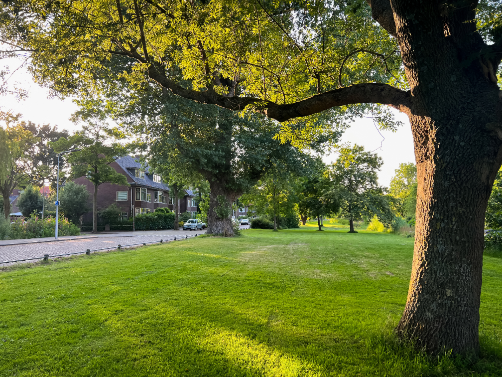 Tree care companies in Long Grove Illinois
