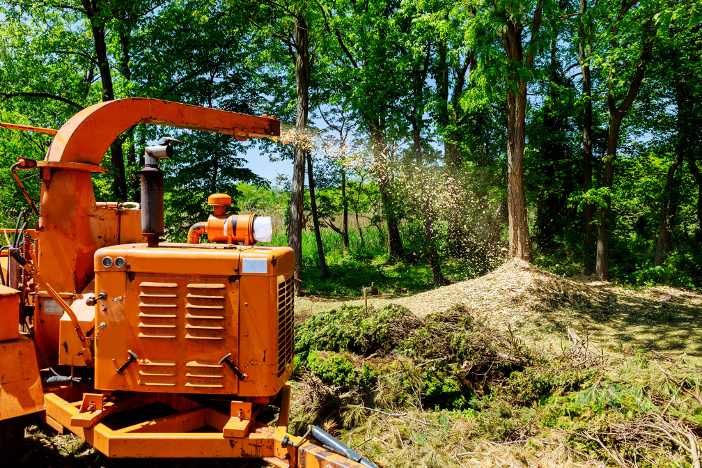 Tree removal company in Buffalo Grove Illinois