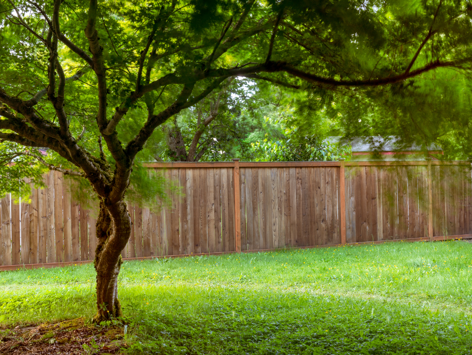 Tree Care Contractor in Barrington, Illinois