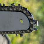 Tree Pruning Contractor in Palatine, Illinois