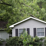 Tree Removal Contractor in Winnetka, Illinois