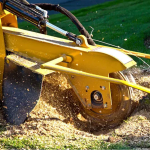 Stump Removal Company in Buffalo Grove, Illinois