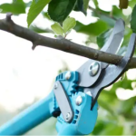 tree pruning contractor in Bannockurn, Illinois