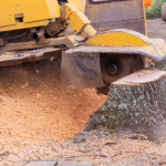 Stump Removal Company in Lake Zurich, Illinois