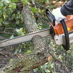 Tree Trimming Contractor in Winnetka, Illinois