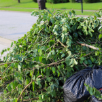 Tree Trimming Company in Wilmette, Illinois